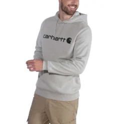 Trui Carhartt Men Delmont Graphic Hooded Sweatshirt Asphalt Heather -Carhartt Werkout Verkoopwinkel EU 103873 058 AVL